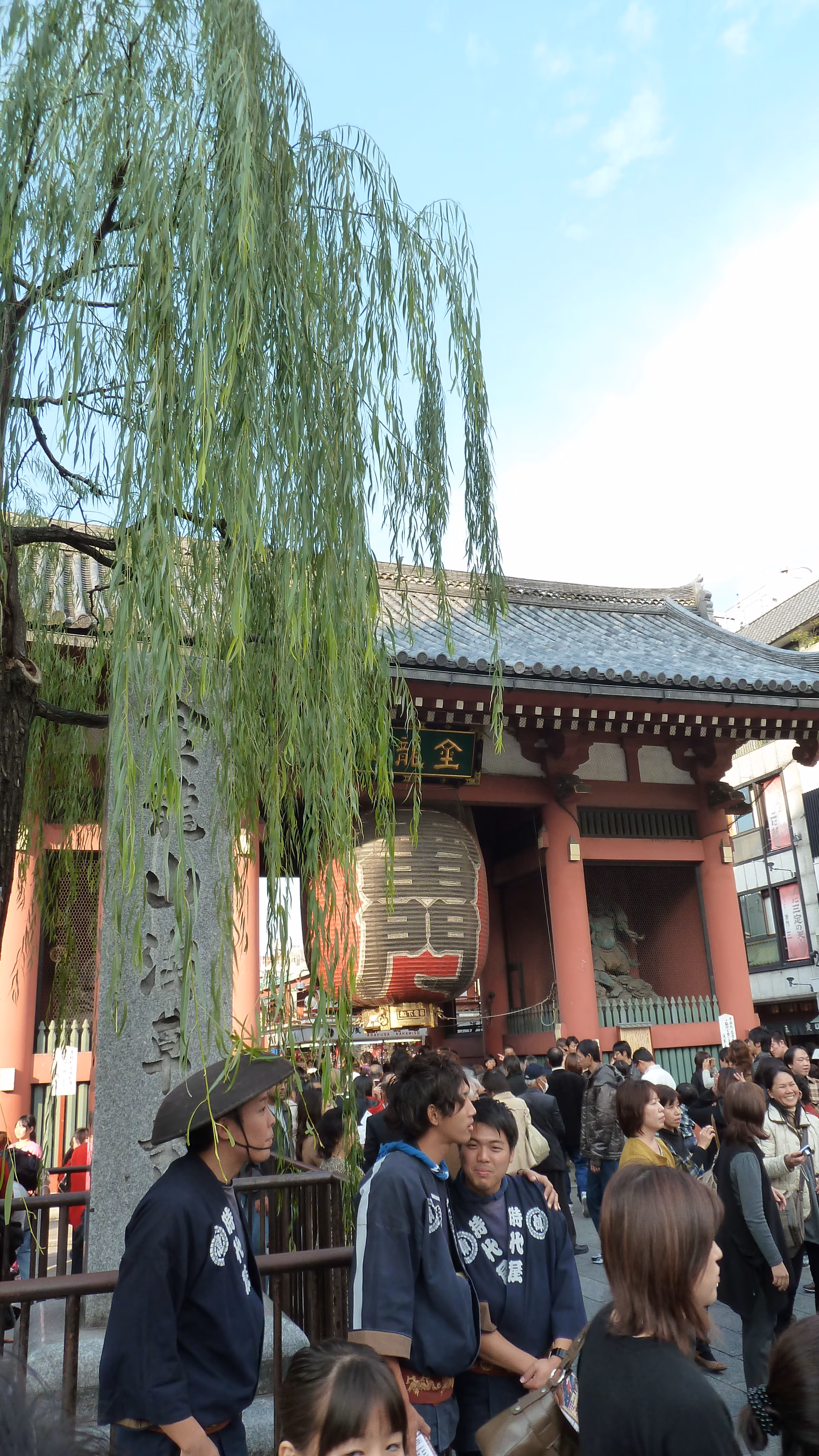 Kaminarimon gate framed by a willow tree, with a group of people in happi coats in the foreground