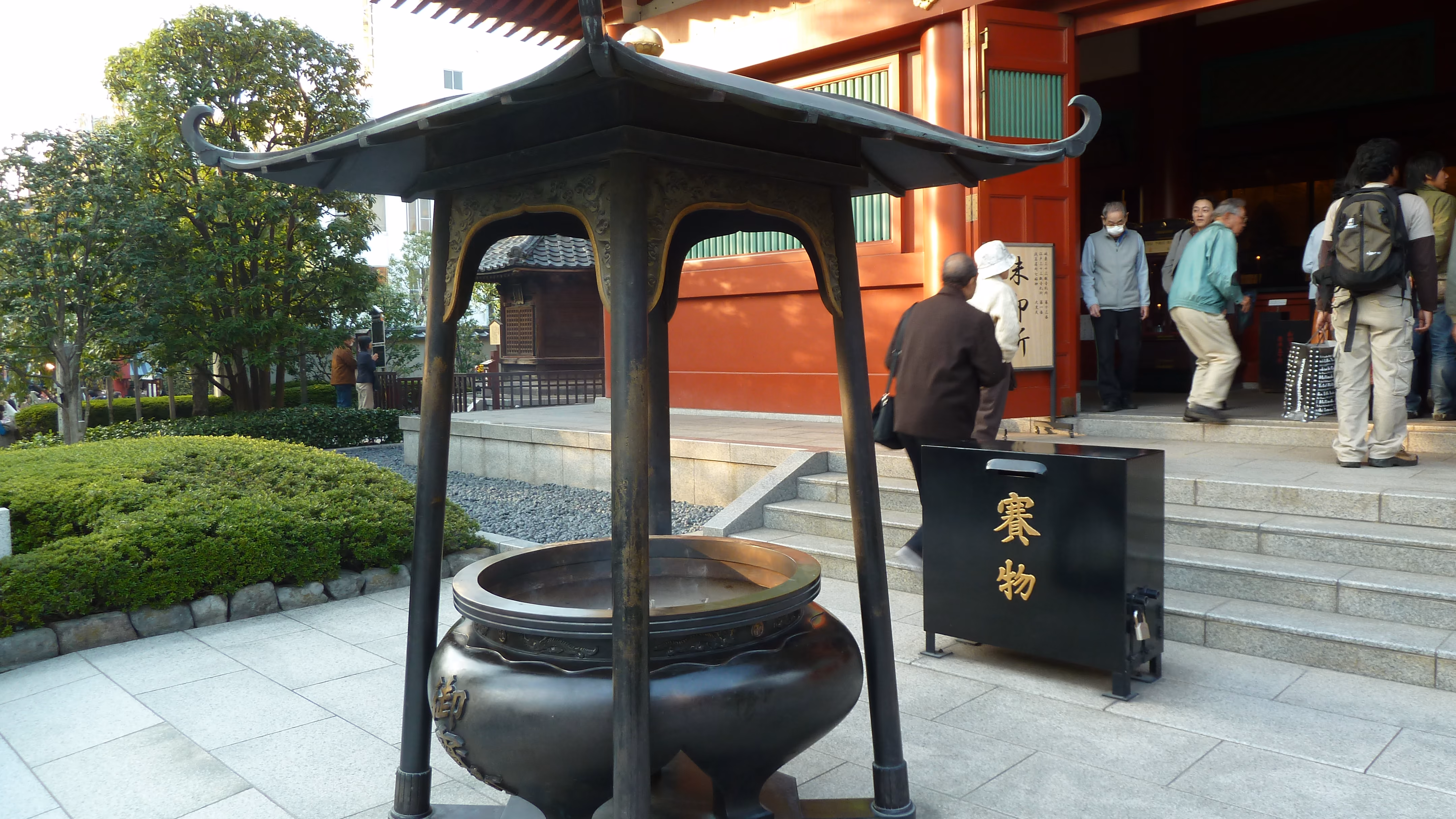 Sunlight filtering through a ginkgo tree in the temple courtyard, with a Buddha statue at its base
