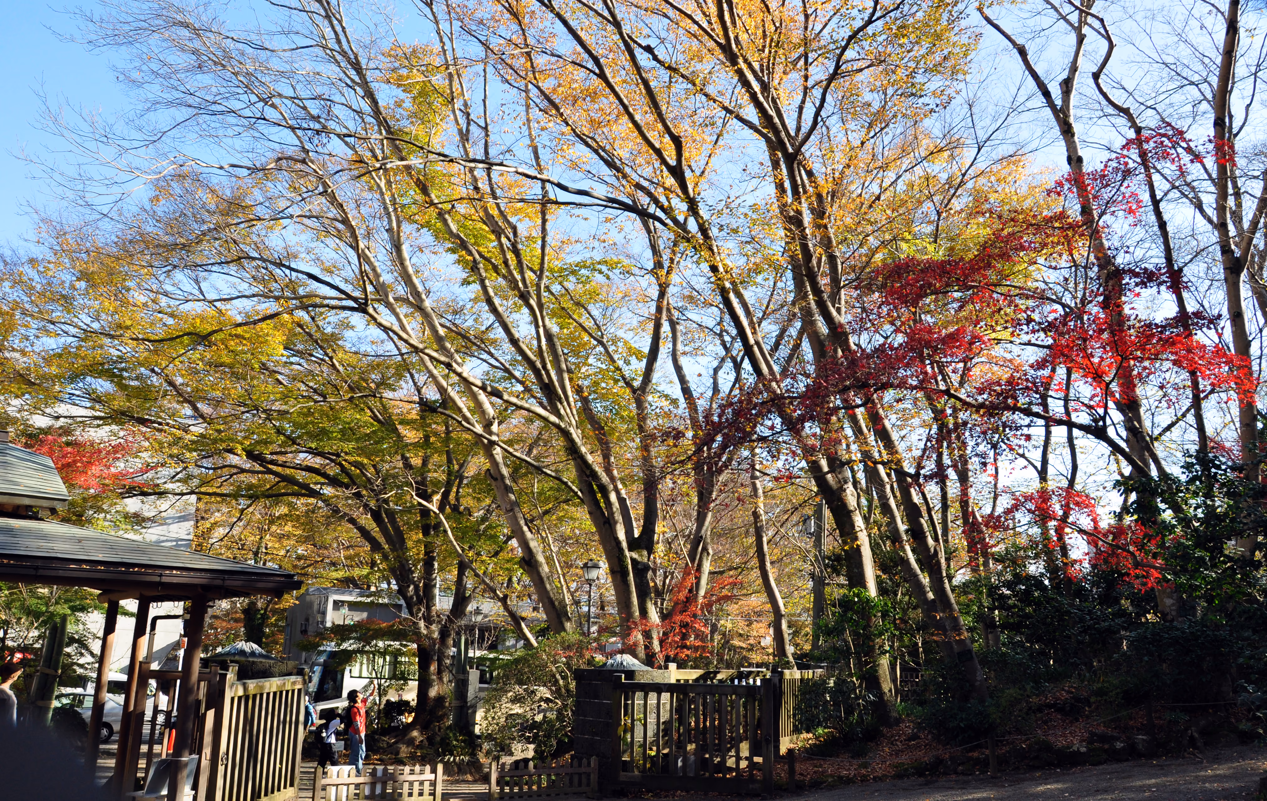 Wide view of a garden path near the entrance to Rakuju-en Park, Mishima