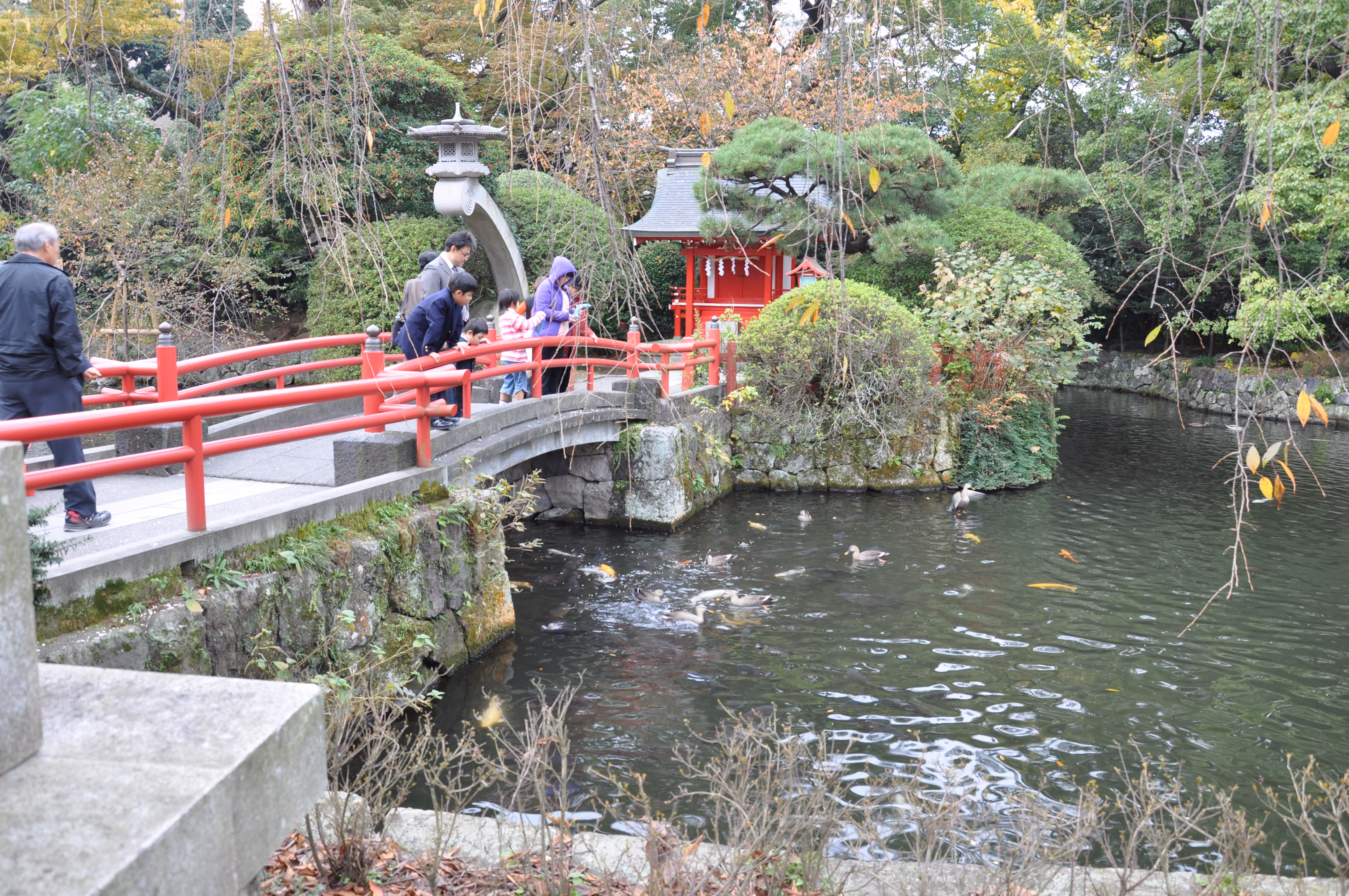 A red-railed bridge over a pond at Mishima Taisha, with a family feeding ducks
