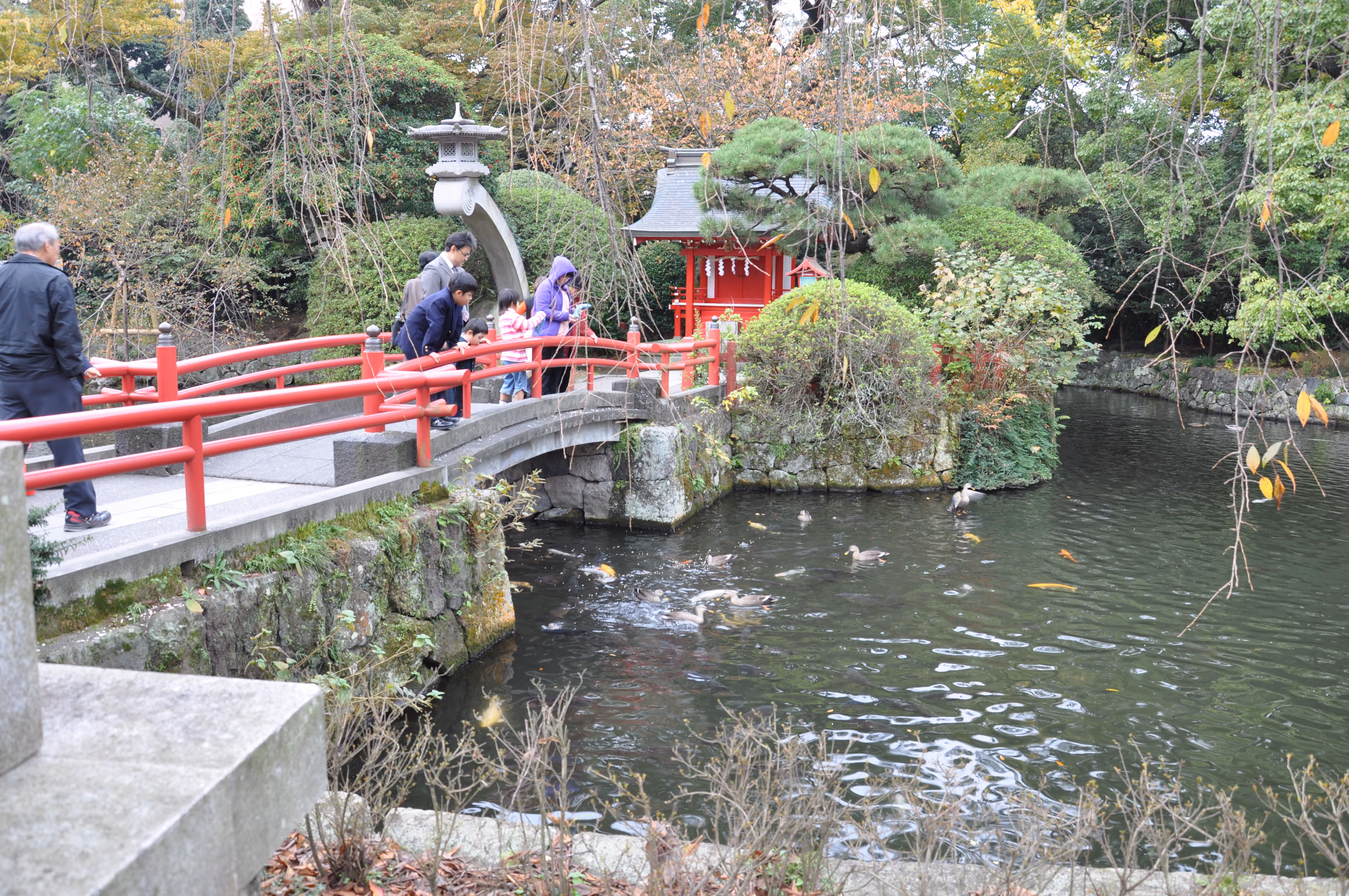 A red-railed bridge over a pond at Mishima Taisha, with a family feeding ducks