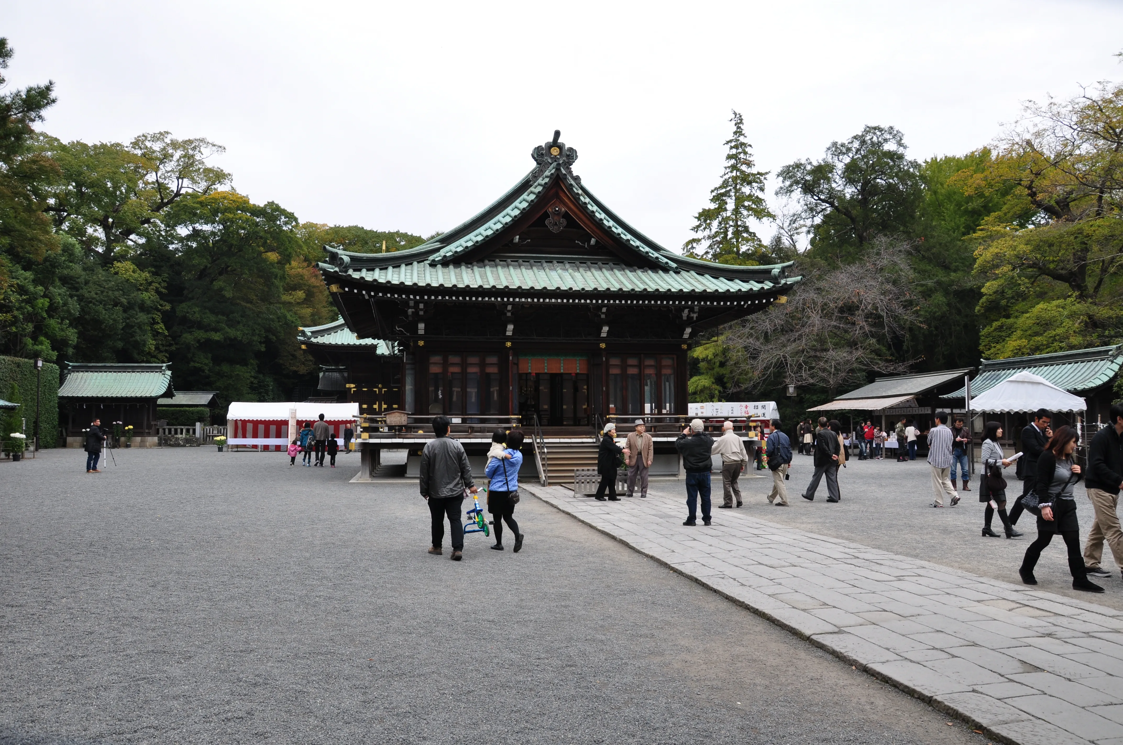 Shichi-Go-San at Mishima Taisha
