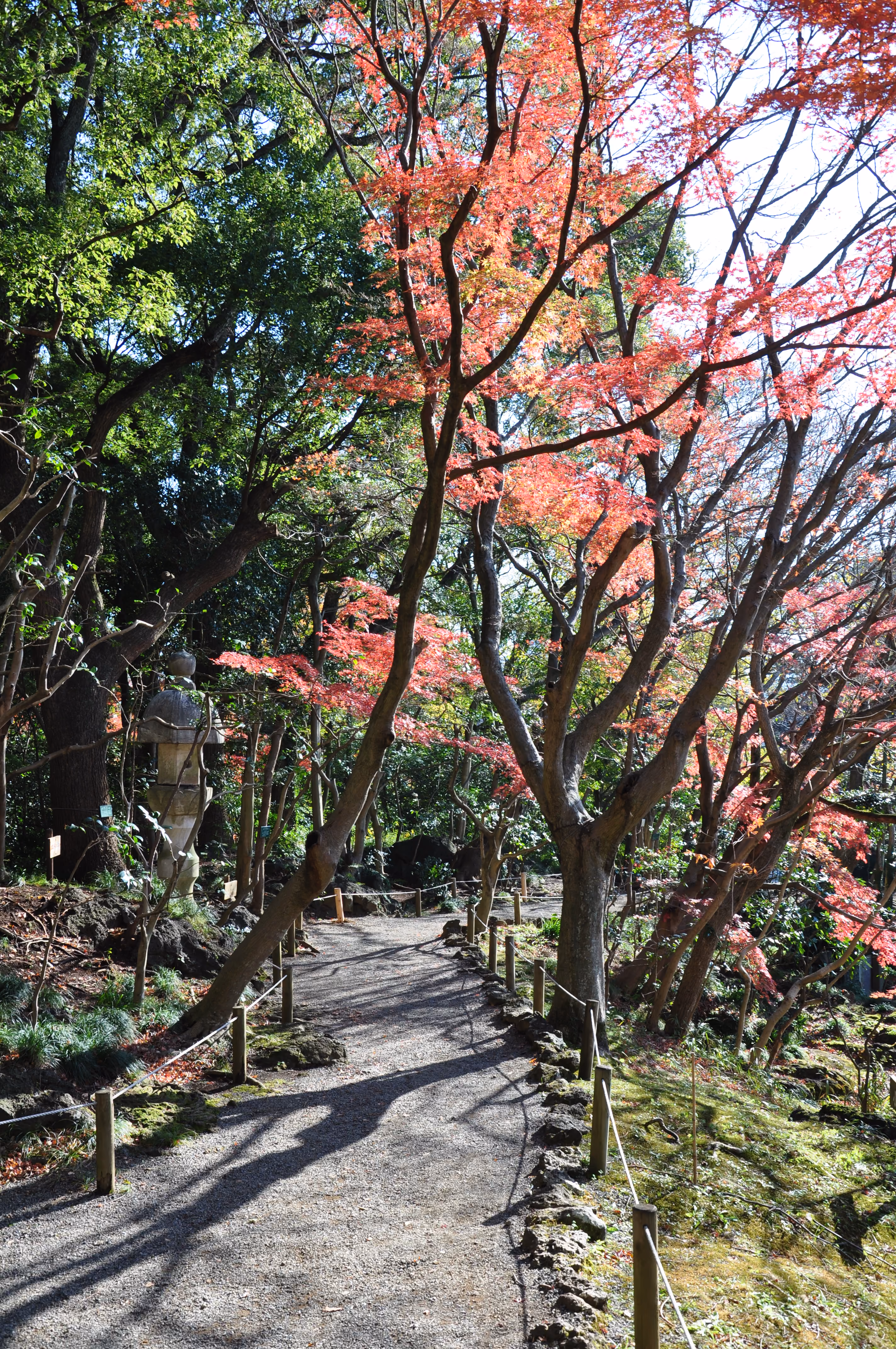 A vertical framed view within Rakuju-en Park, Mishima
