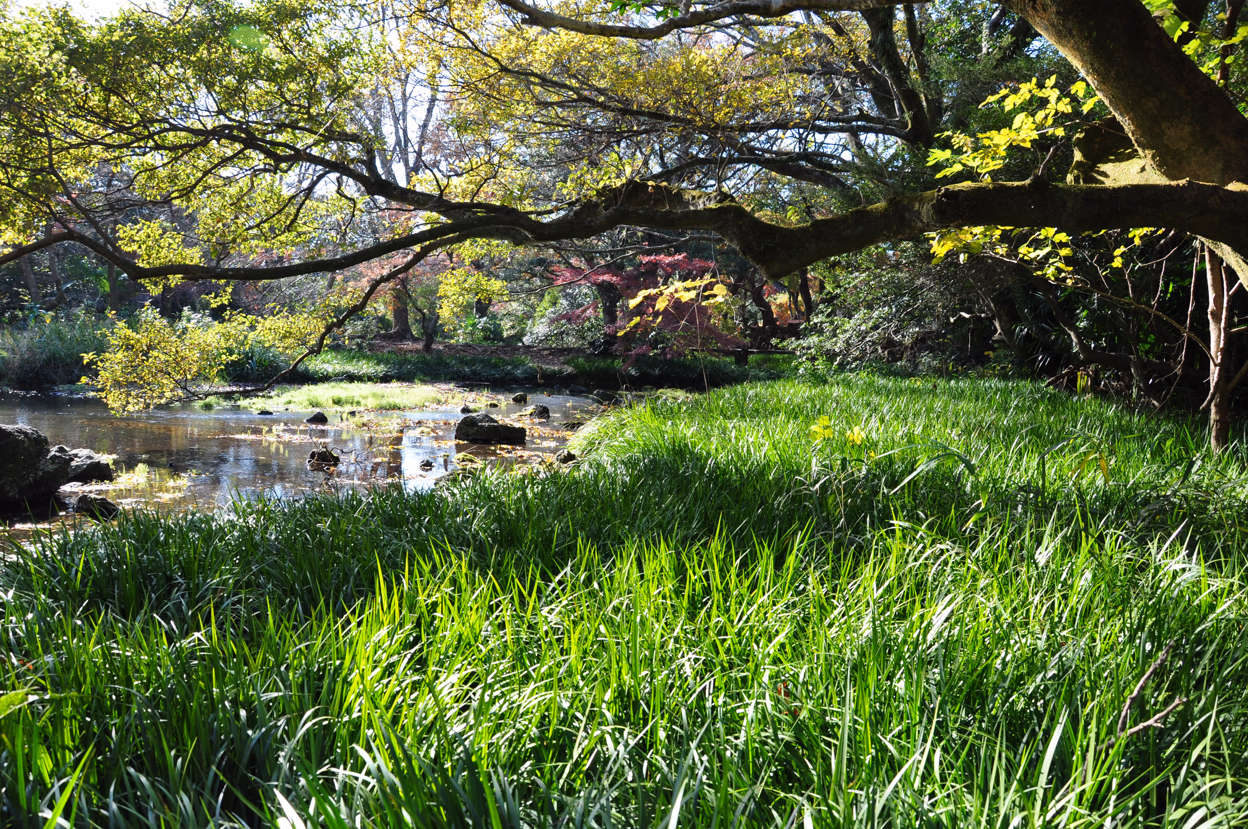 Wide view of the garden grounds at Rakuju-en Park, Mishima
