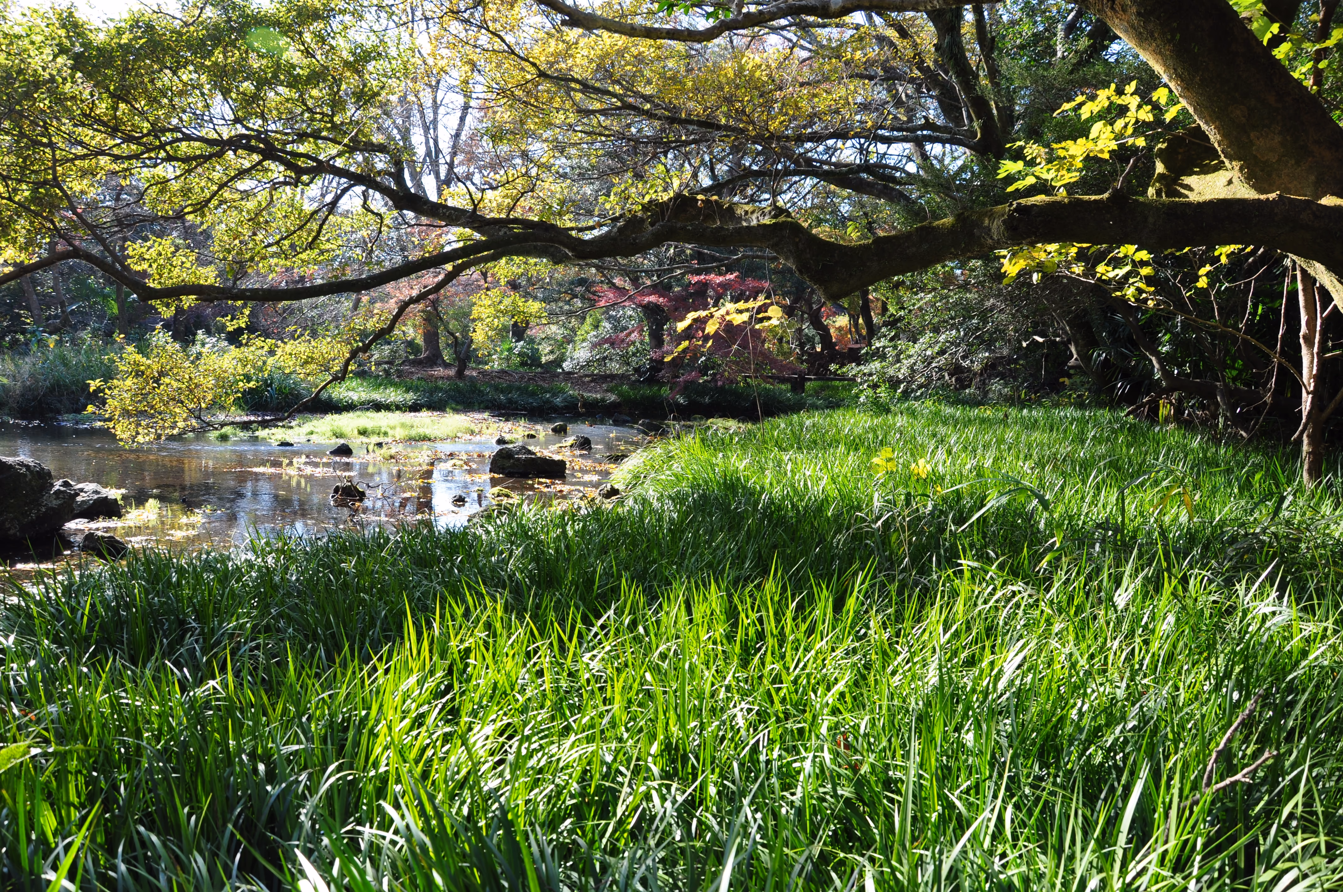 Wide view of the garden grounds at Rakuju-en Park, Mishima