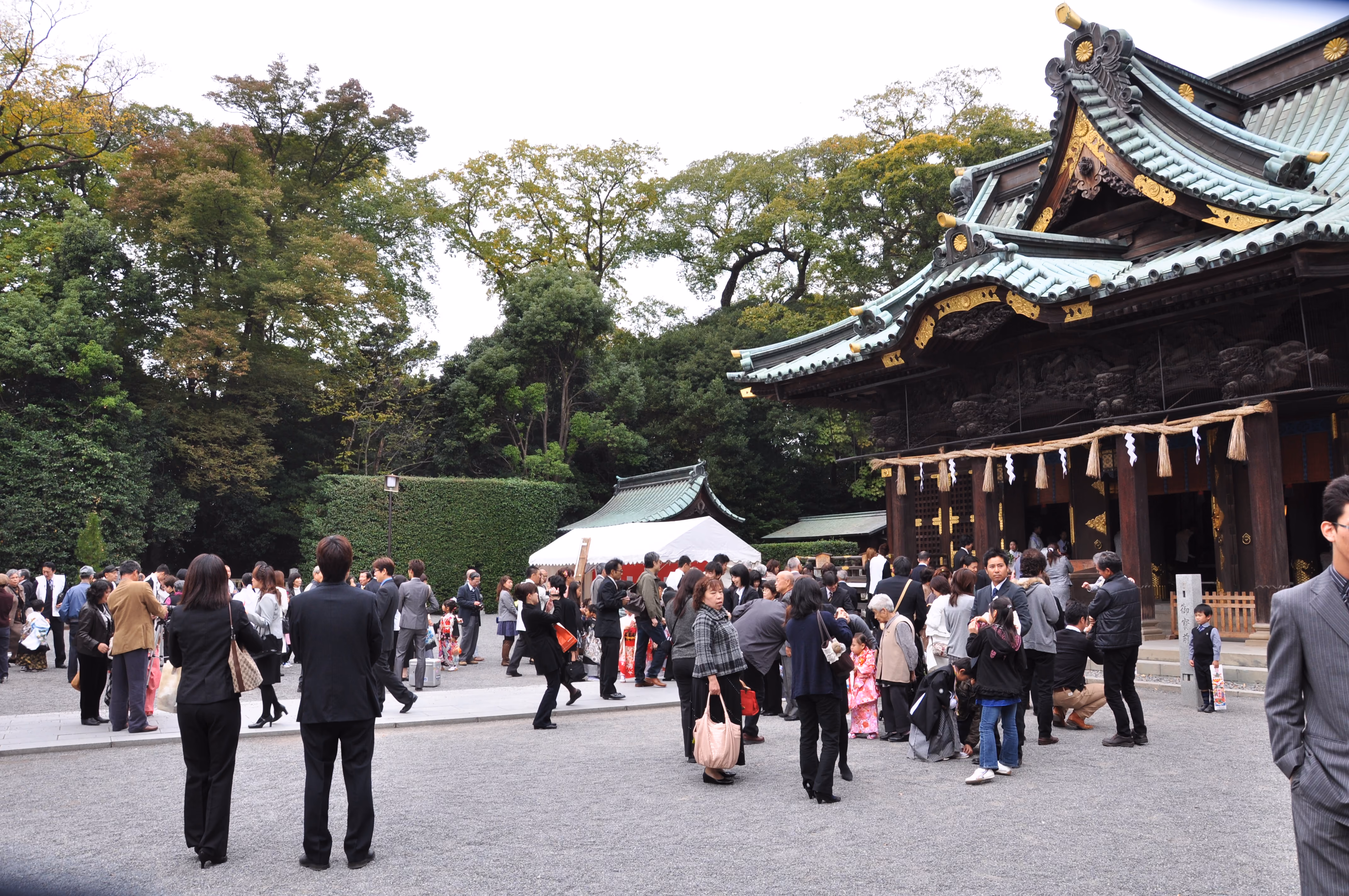 Families gathered in front of Mishima Taisha's main hall, a more relaxed moment between ceremonies