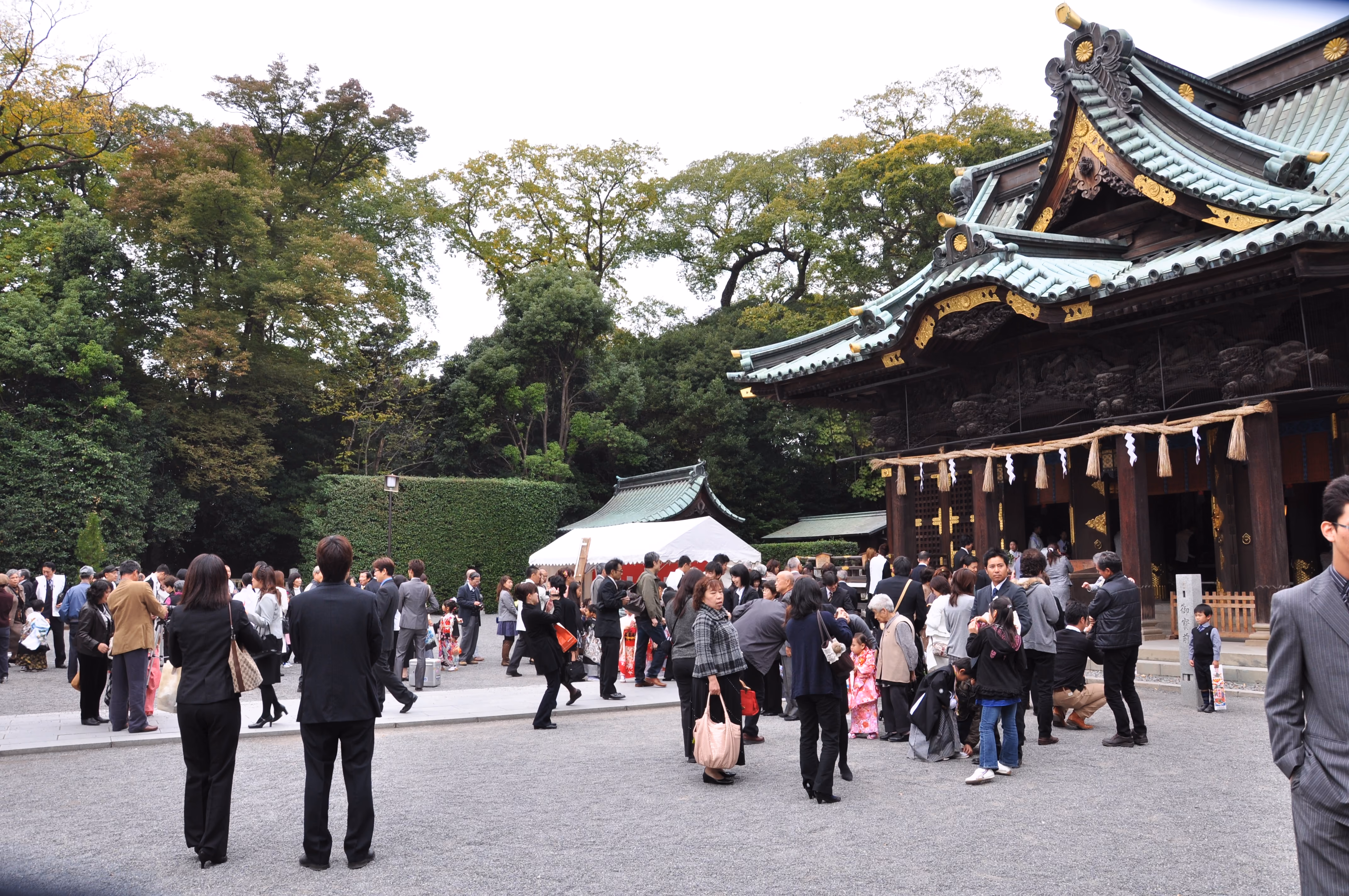 Families gathered in front of Mishima Taisha's main hall, a more relaxed moment between ceremonies