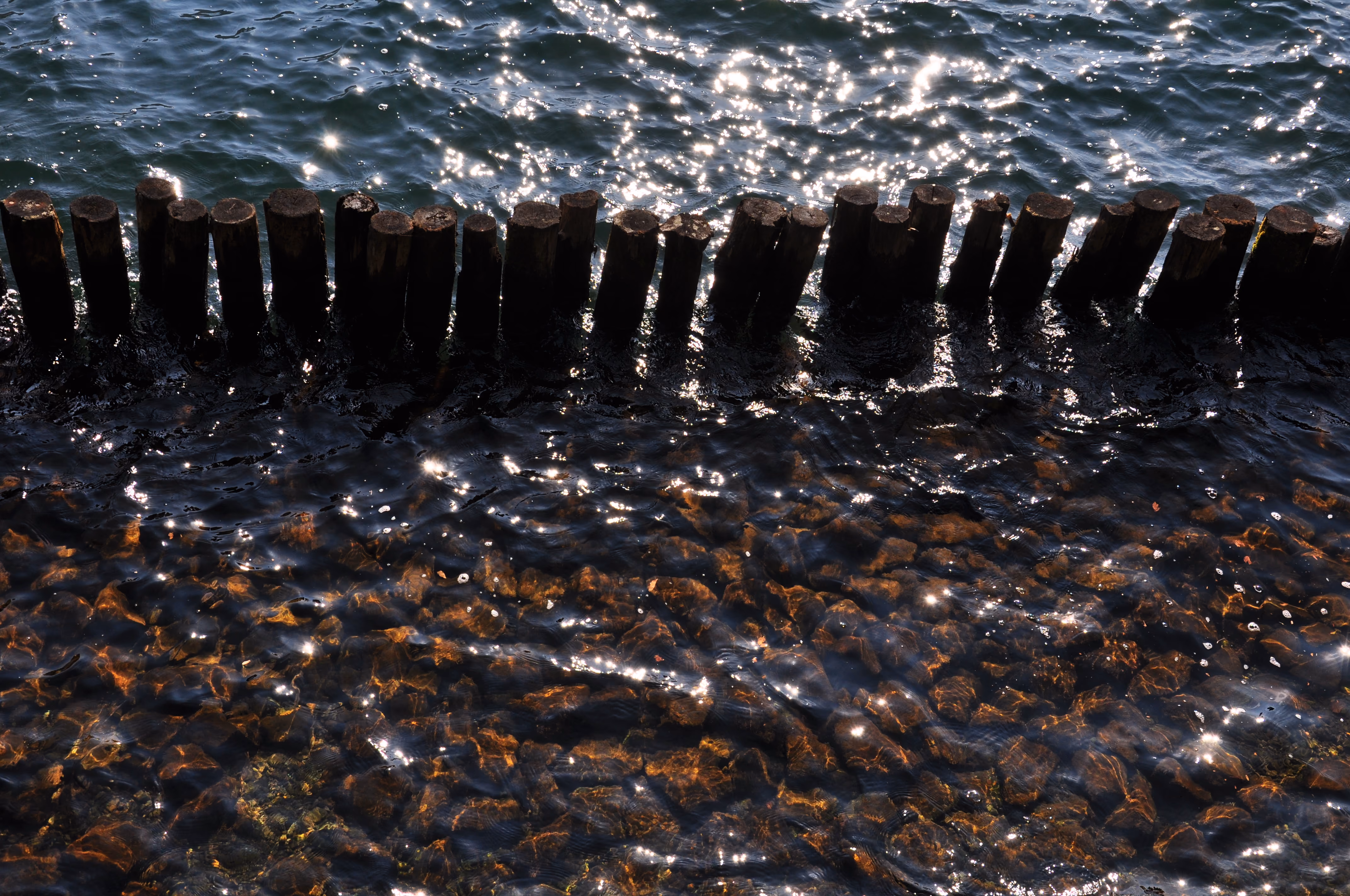 Close-up, low-angle view of old wooden pilings in sparkling lake water over stones