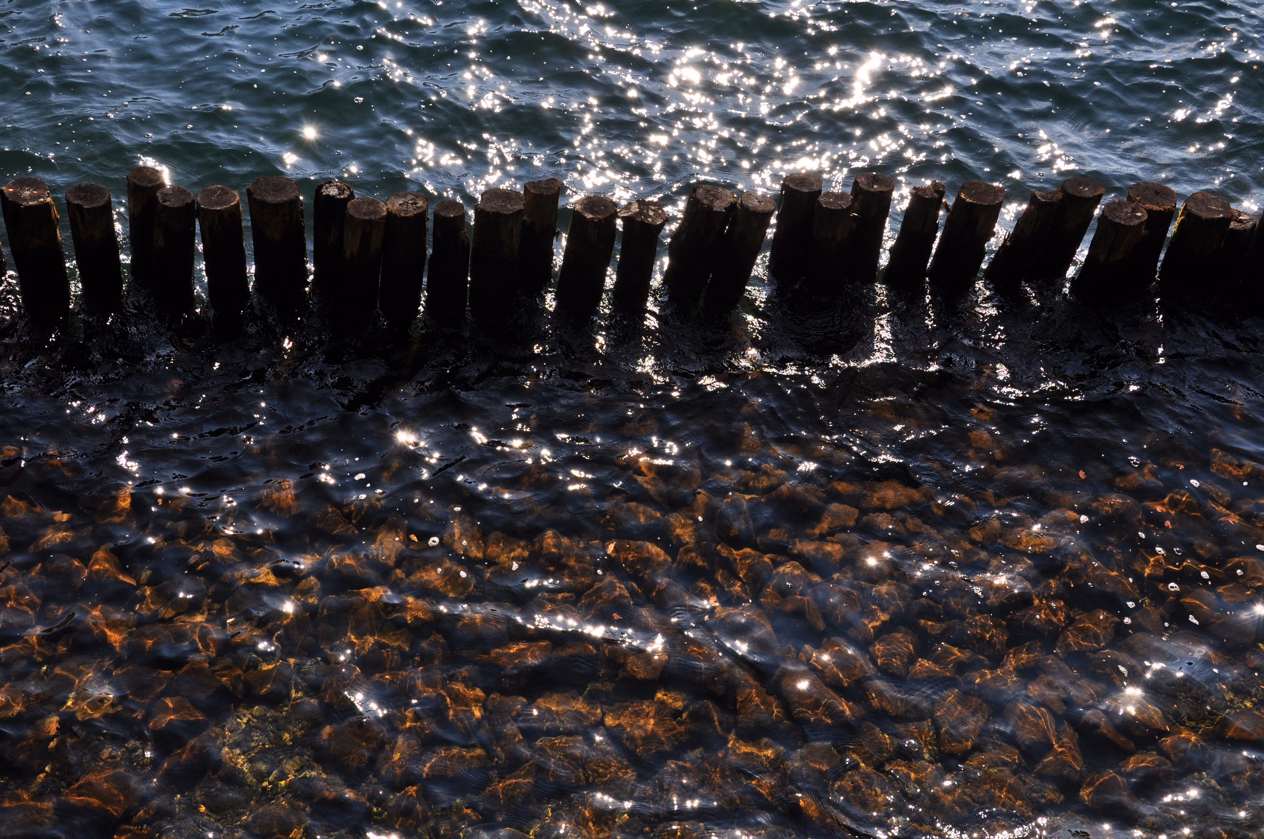 Close-up, low-angle view of old wooden pilings in sparkling lake water over stones