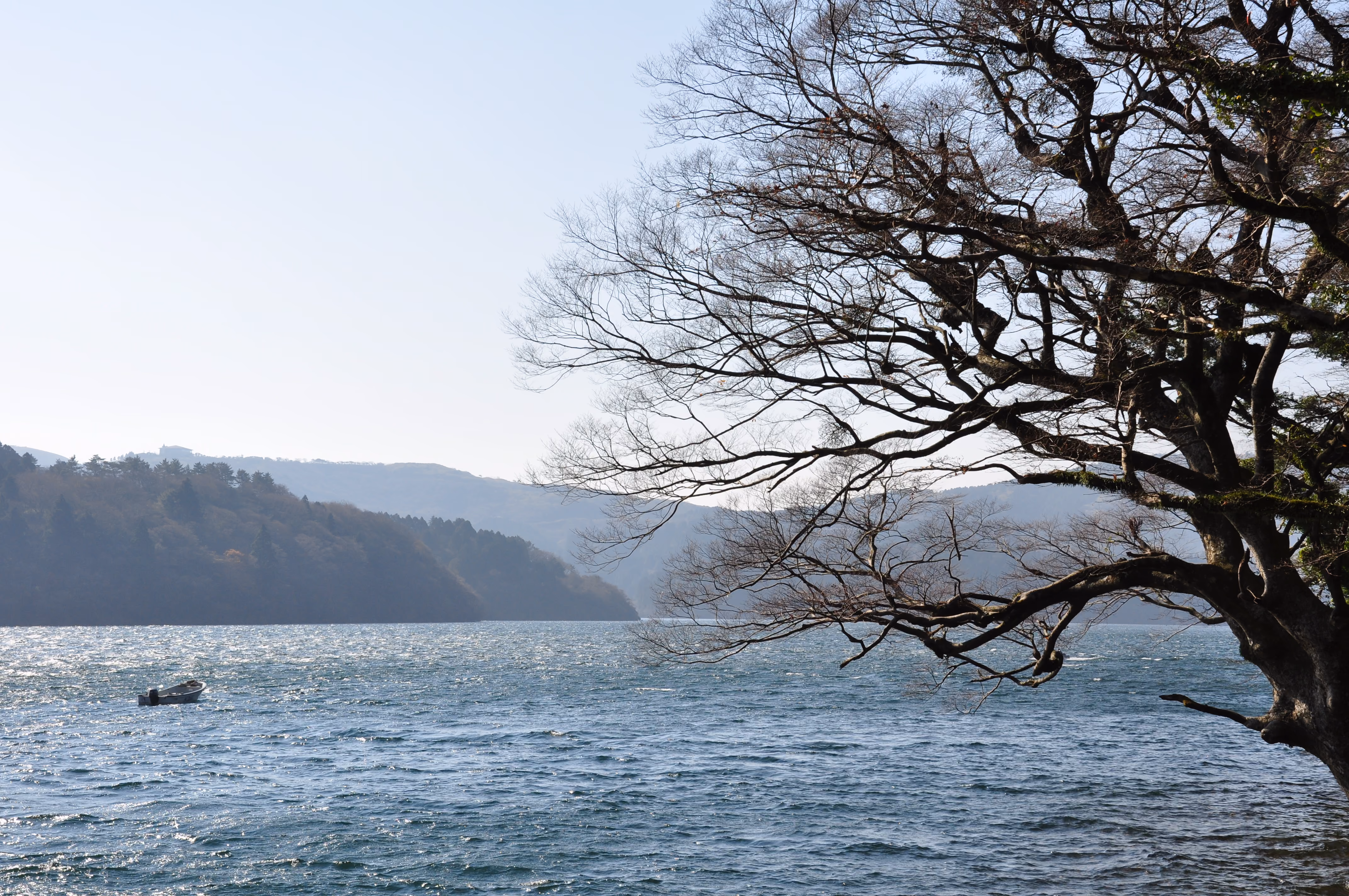 Lake Ashi in morning haze, framed by a bare tree, with a single small boat on the water