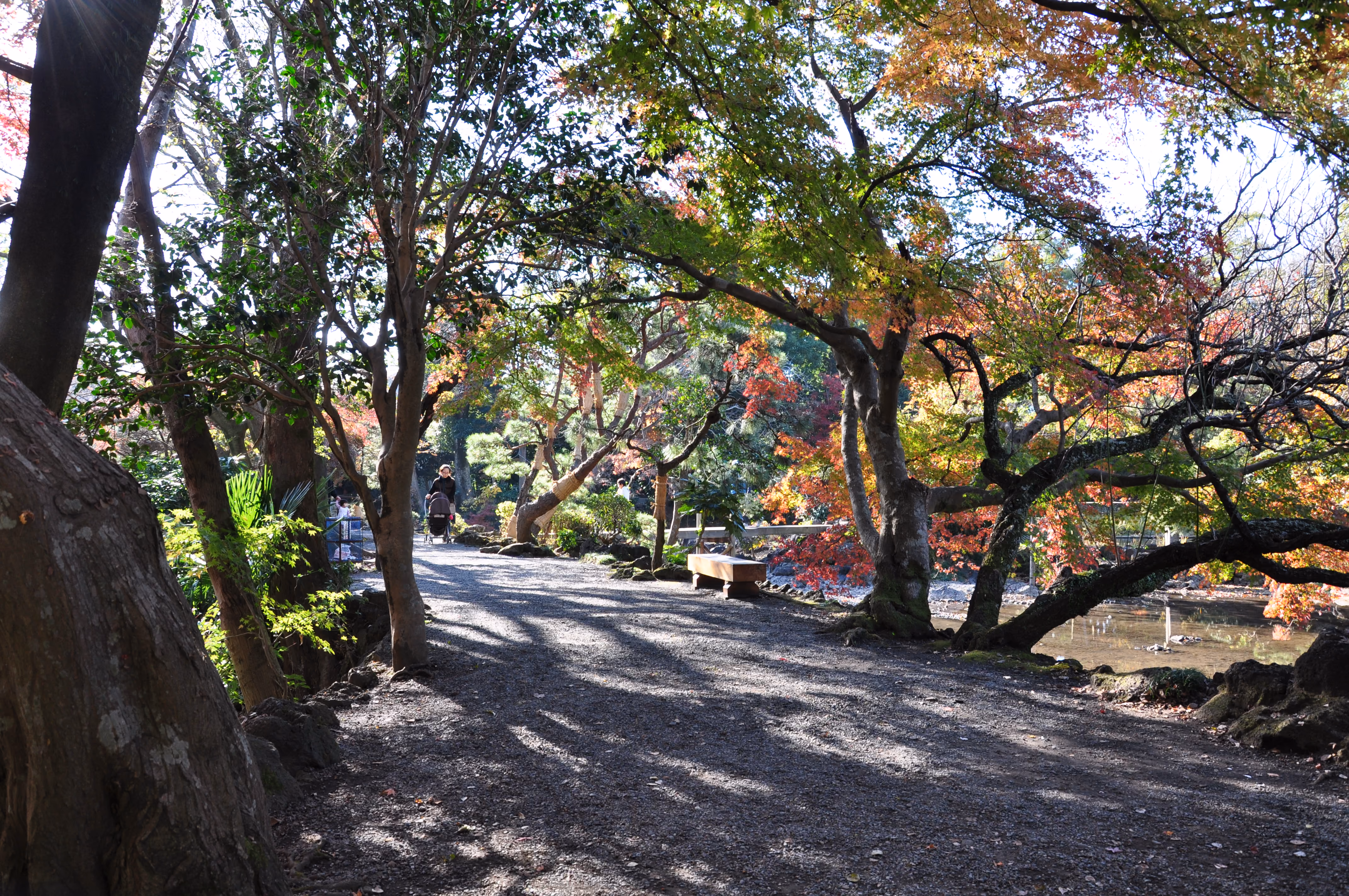 View within Rakuju-en Park, Mishima