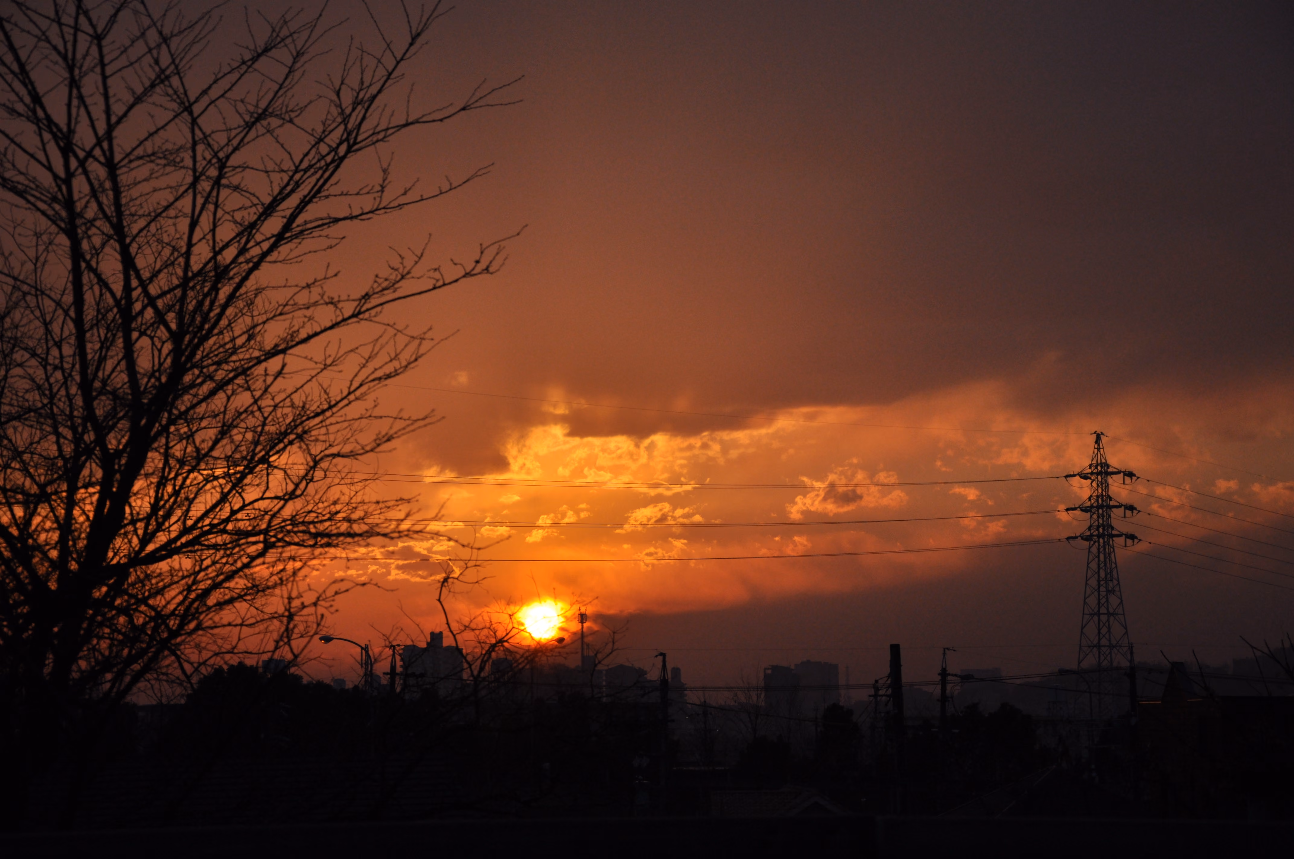 Wide view around Osaka on the evening of arrival