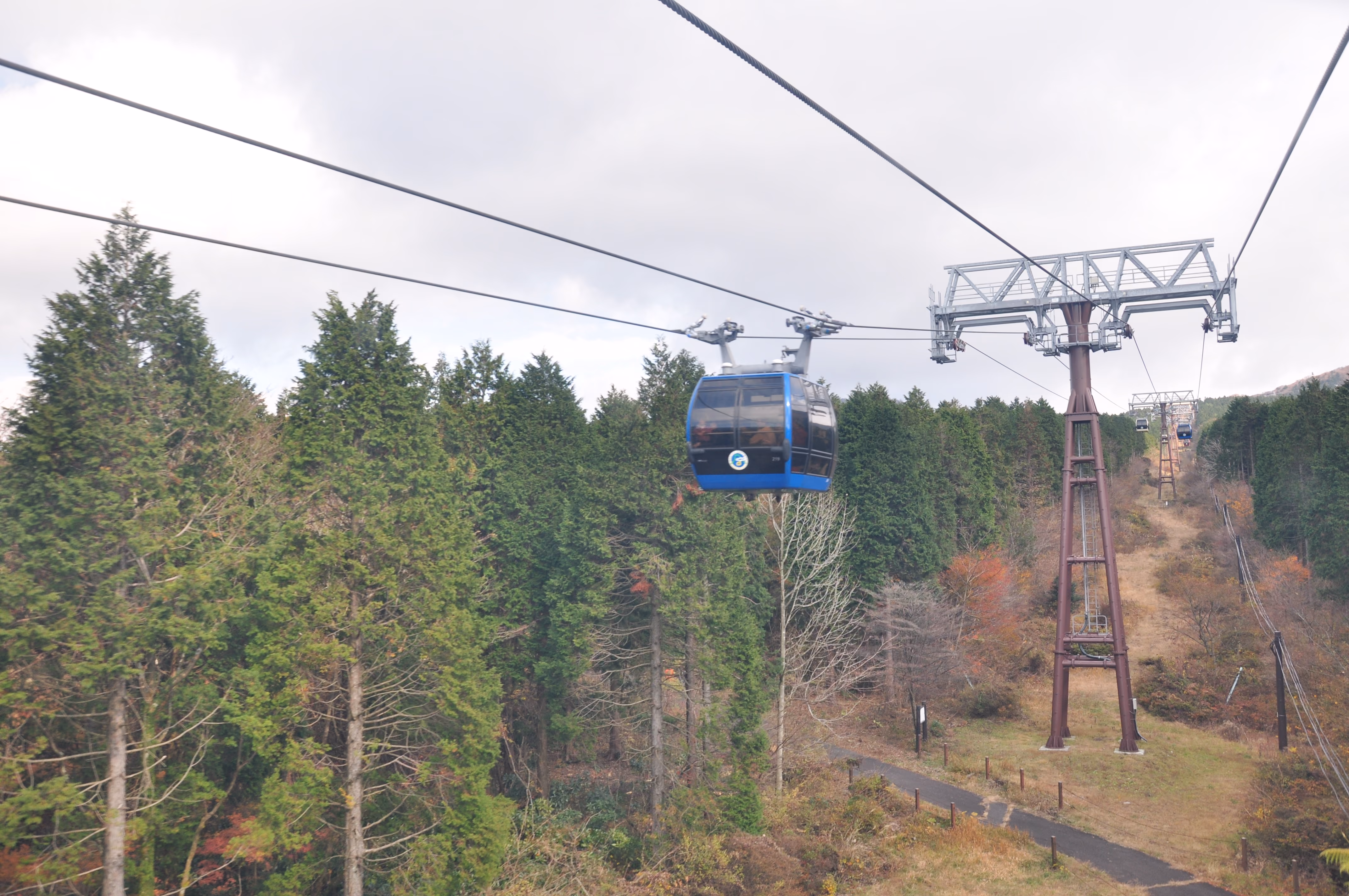 Hakone Ropeway gondolas ascending a cable line through a forested valley