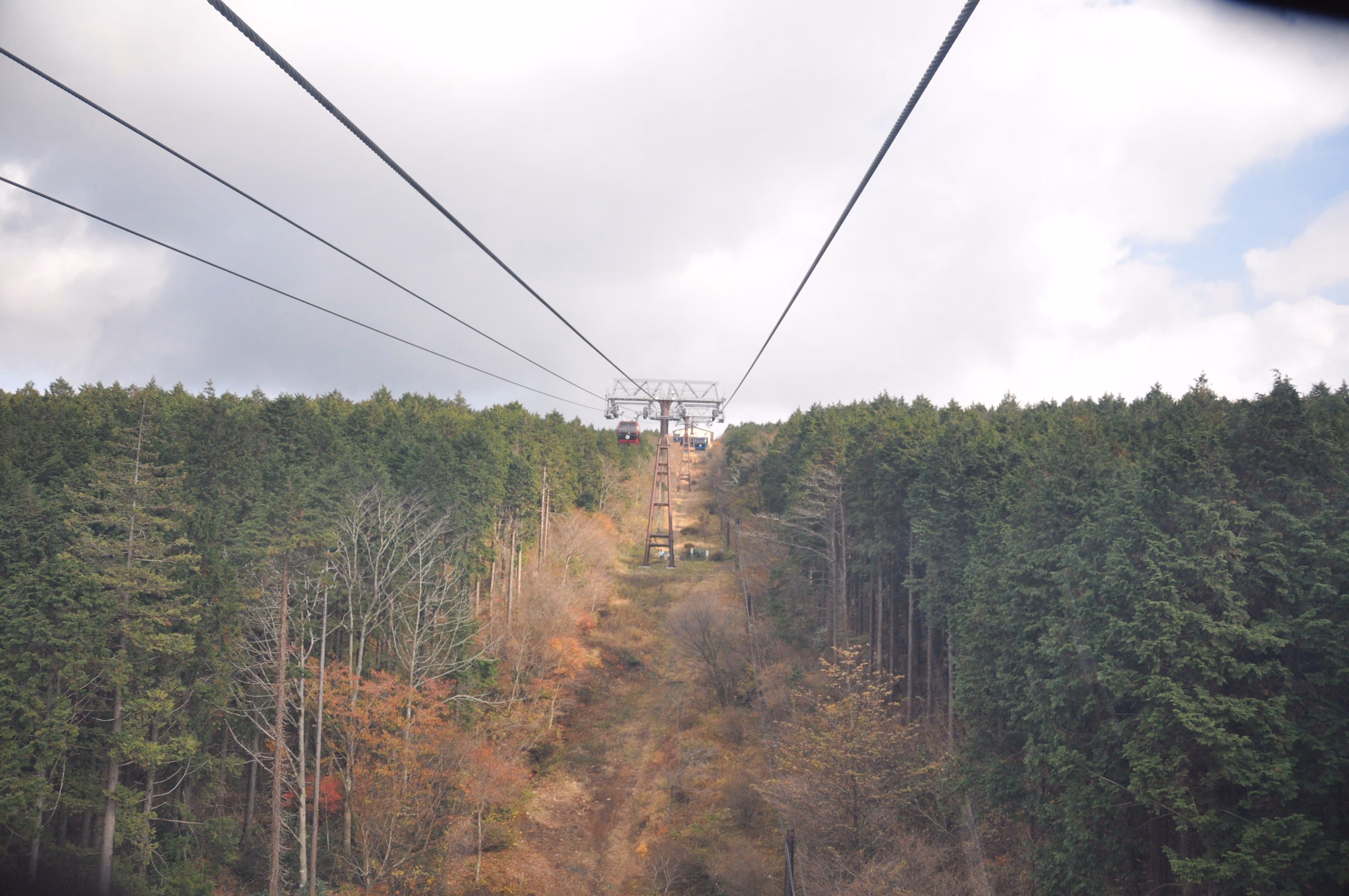 Hakone Ropeway gondolas on a cable line over a forested mountainside