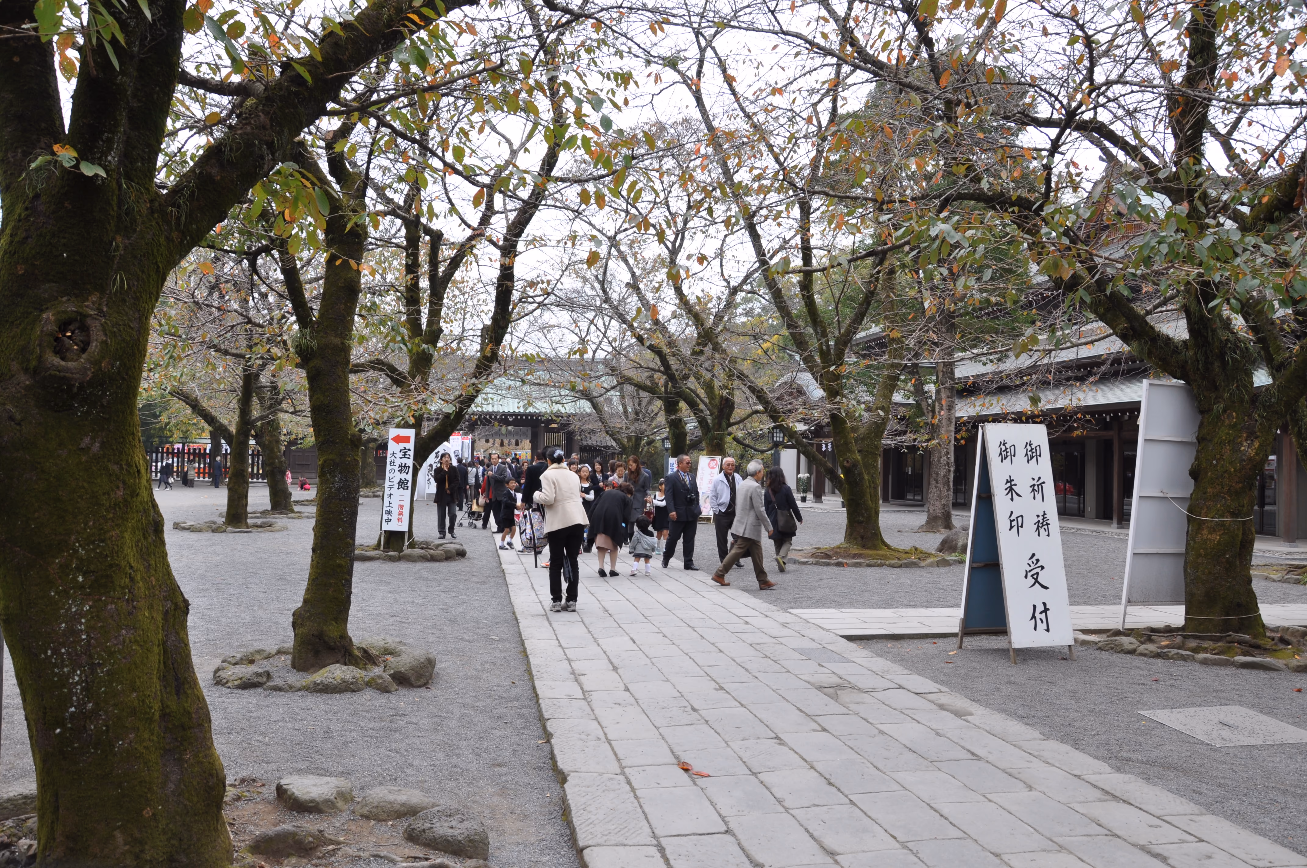 A stone path lined with persimmon trees near Mishima Taisha, with a sign for the treasure hall