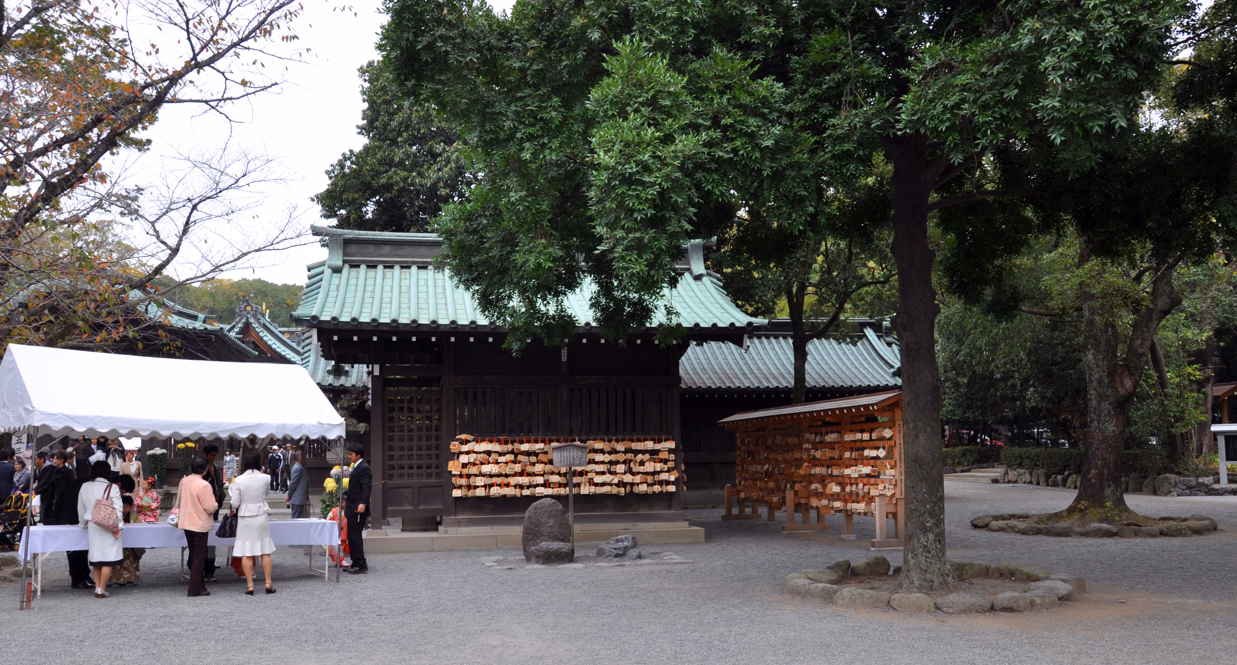 Wooden ema votive plaque stands under a large tree at Mishima Taisha, with visitors nearby