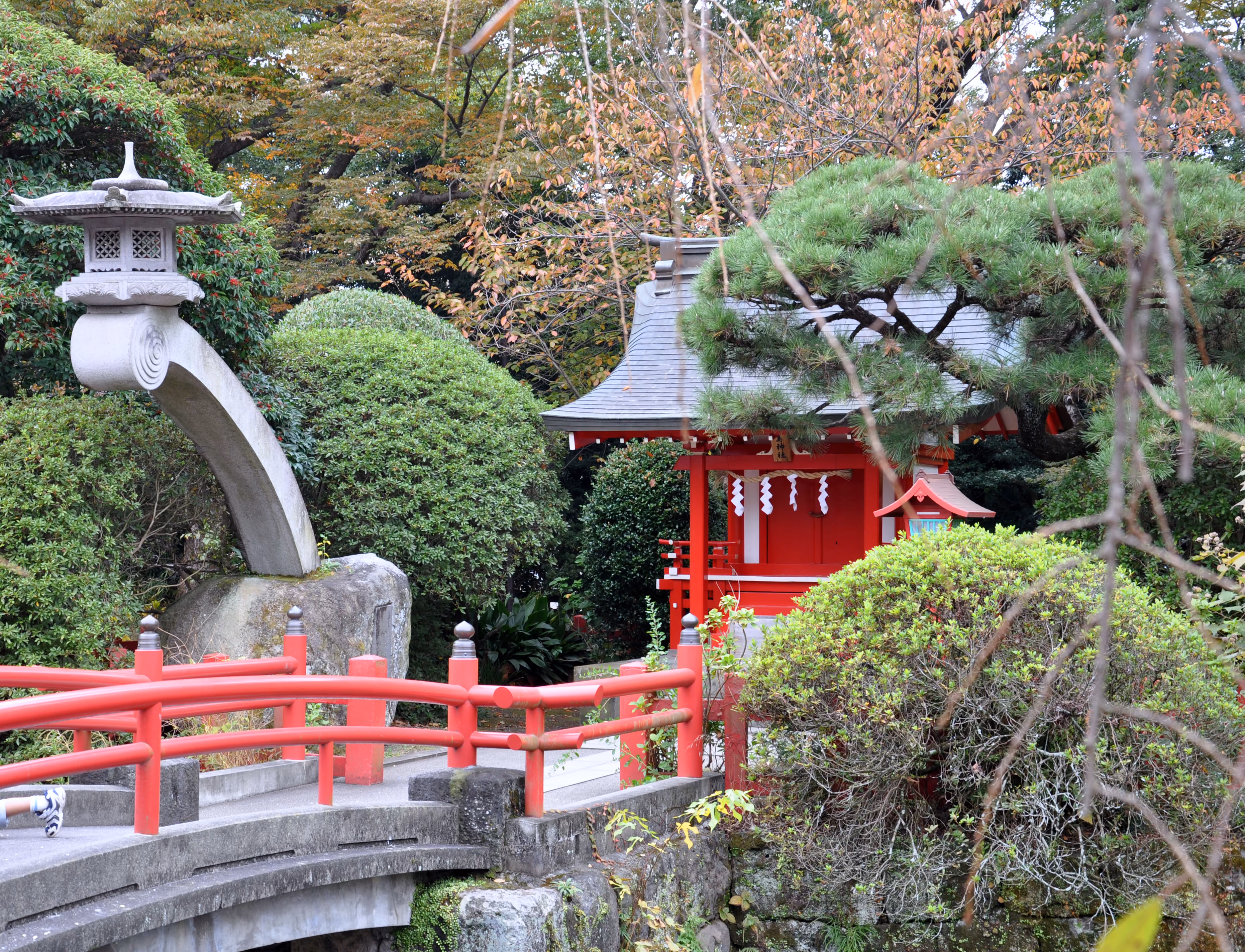 A red bridge and a small red sub-shrine surrounded by pine and greenery at Mishima Taisha