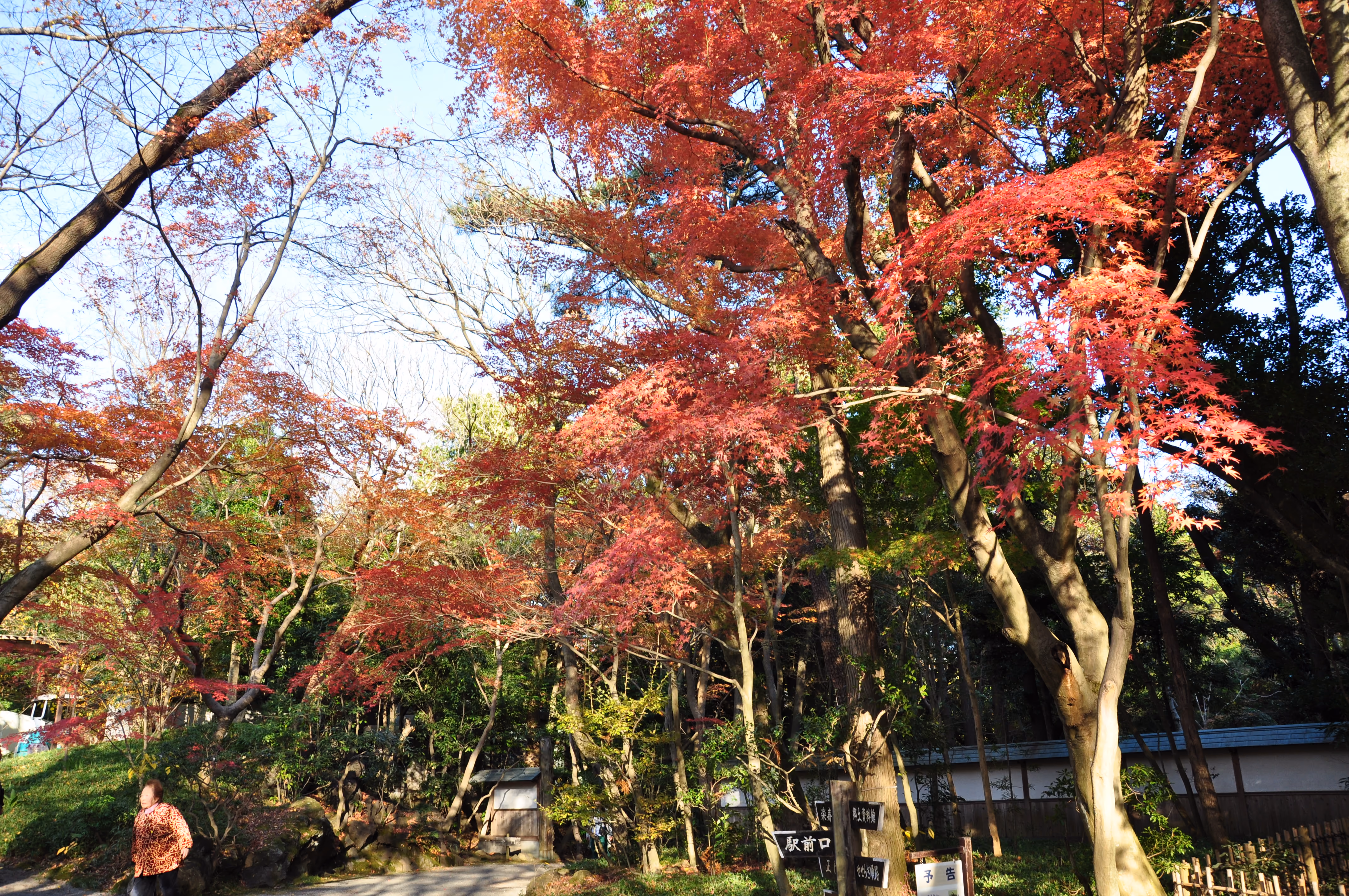 View within Rakuju-en Park, Mishima