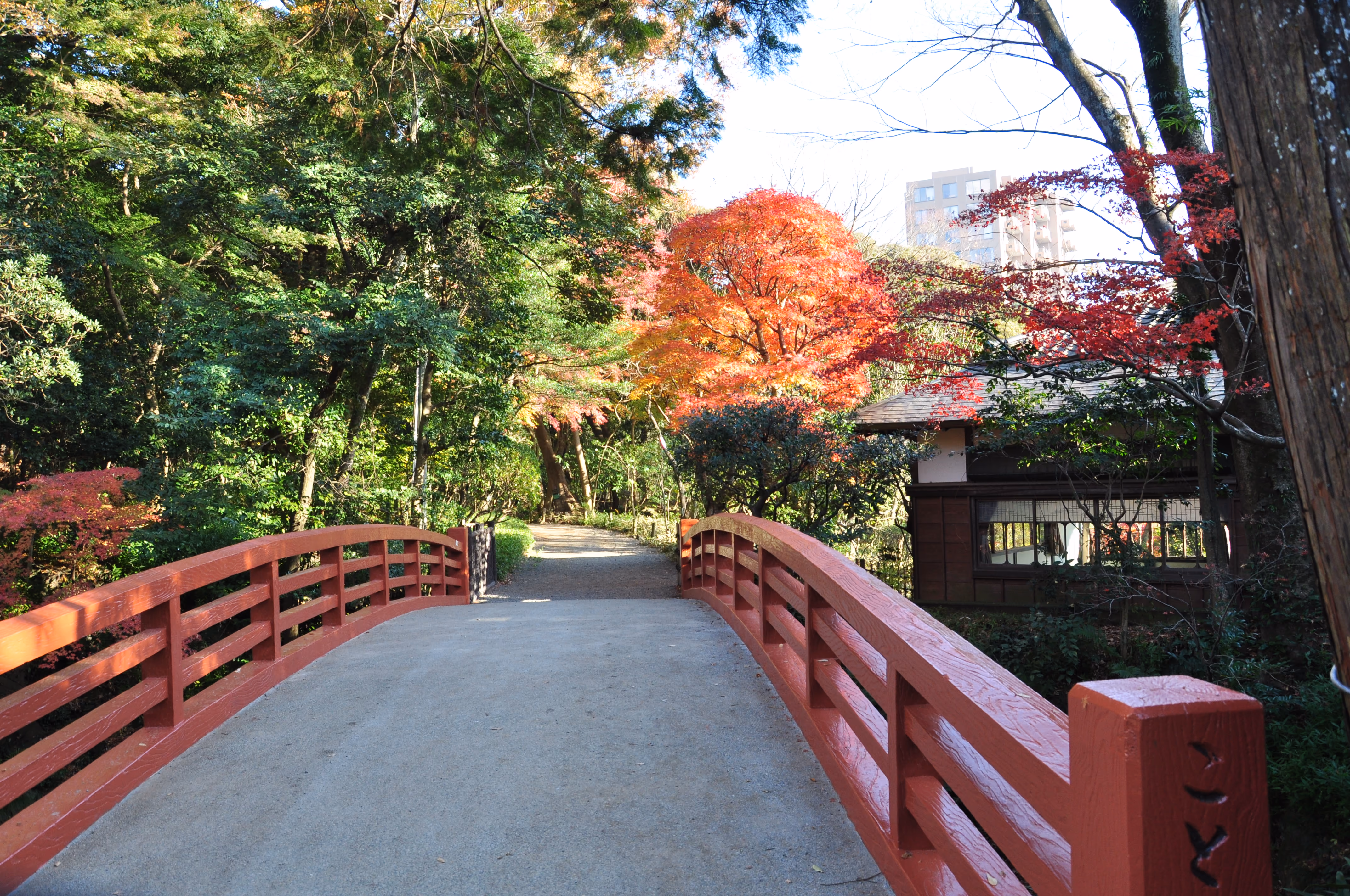 View within Rakuju-en Park, Mishima