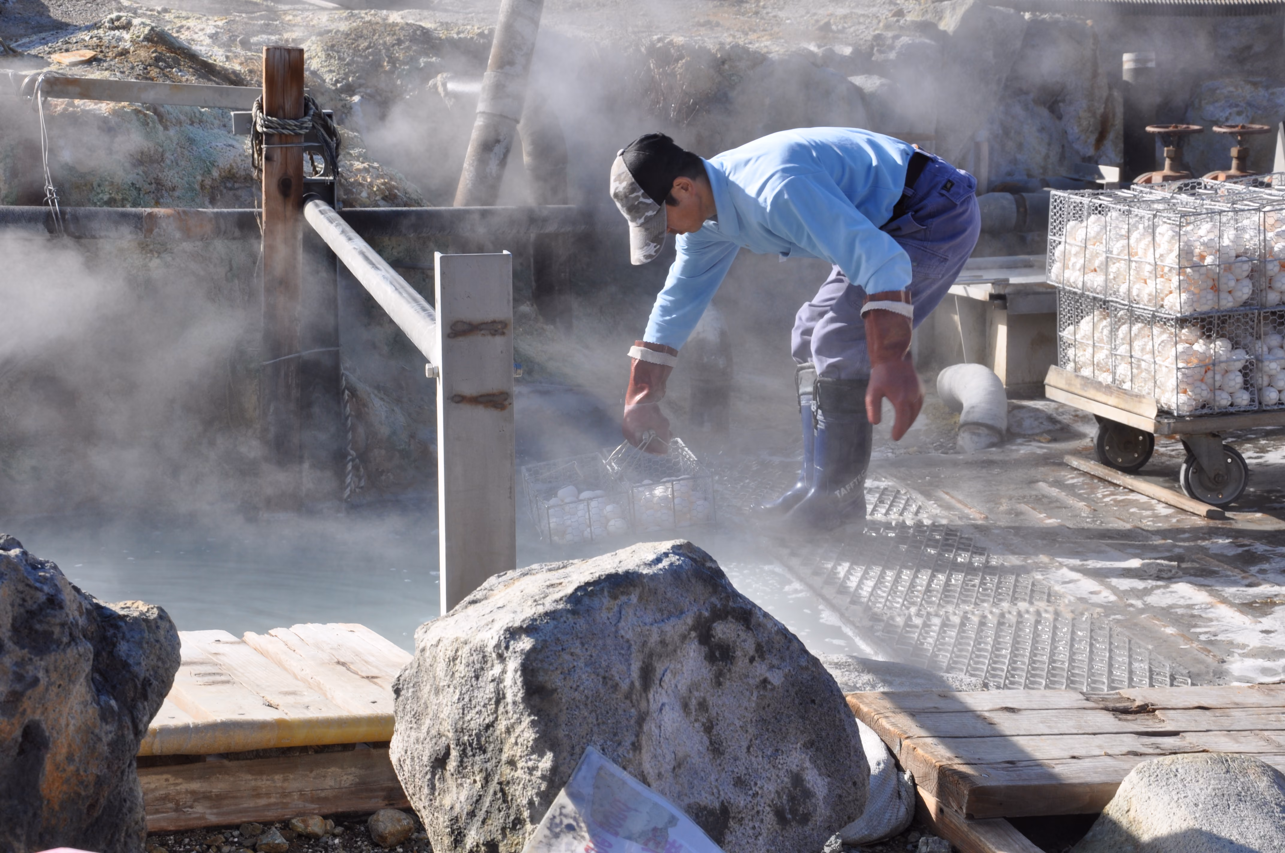 A worker in rubber gloves and boots harvesting a basket of eggs from a hot spring at Owakudani