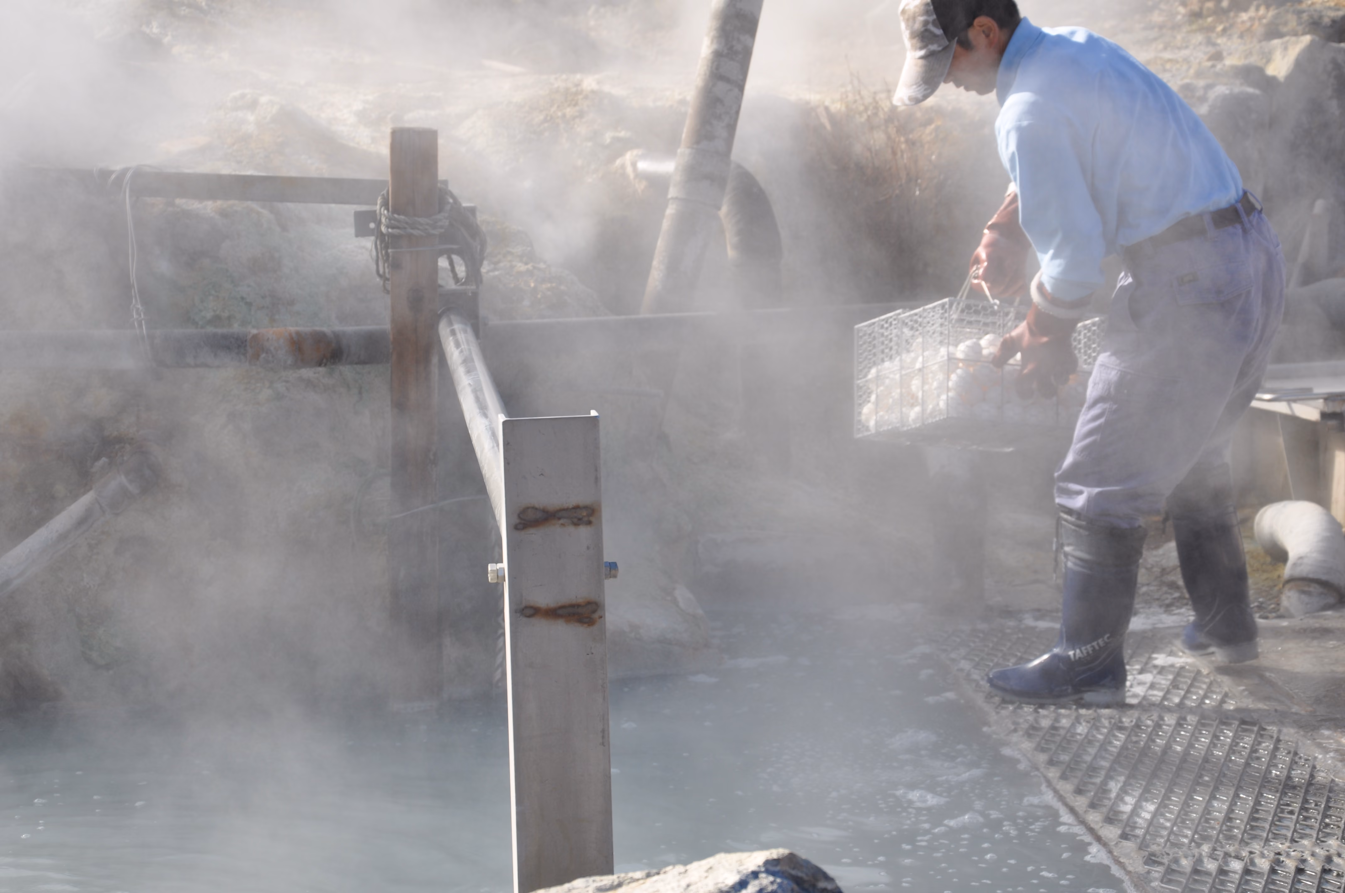 A worker lowering a basket of eggs into a hot spring pool at Owakudani