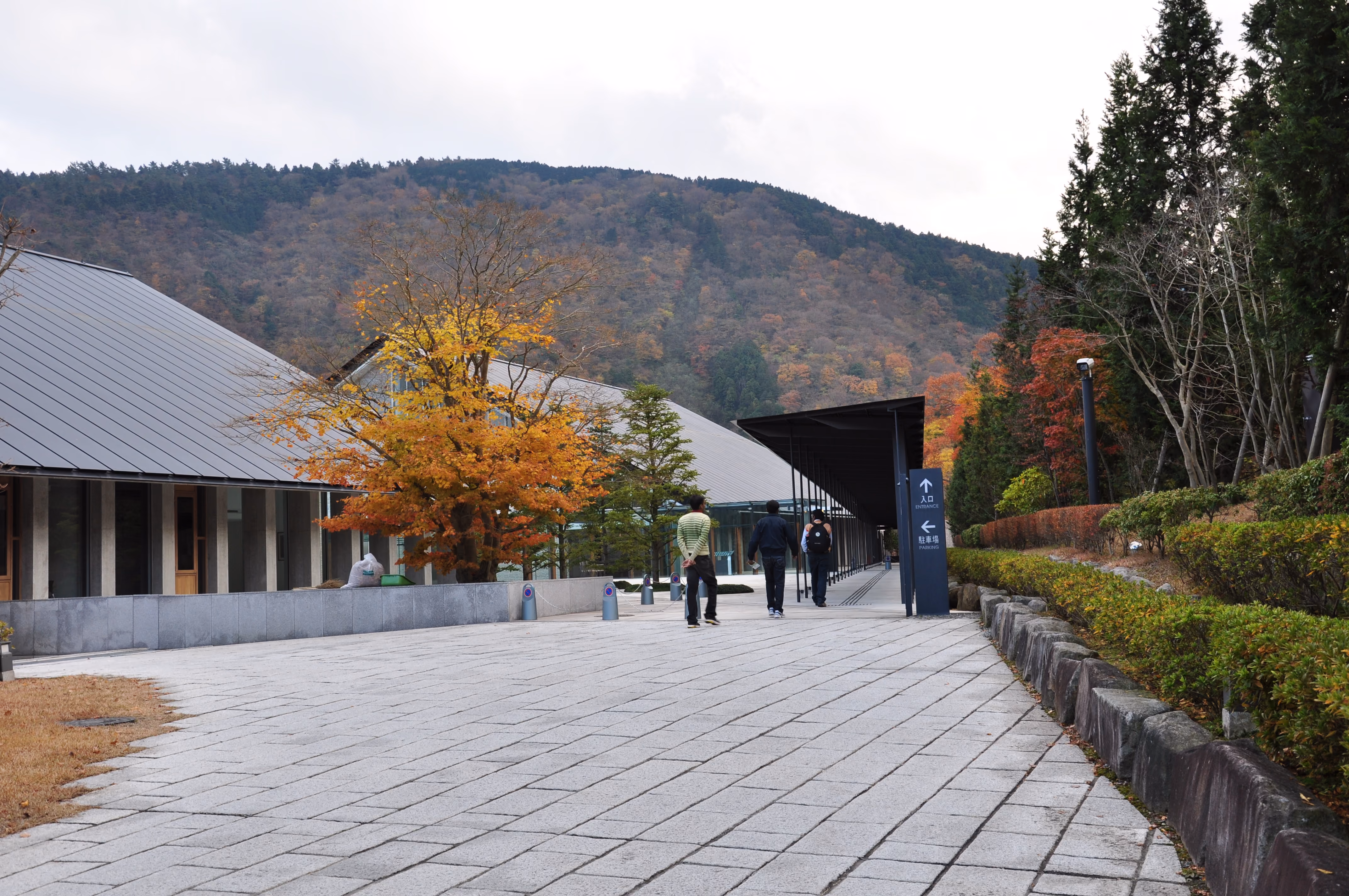A stone entrance path to a modern museum building, with one maple tree in autumn color and visitors walking toward the entrance
