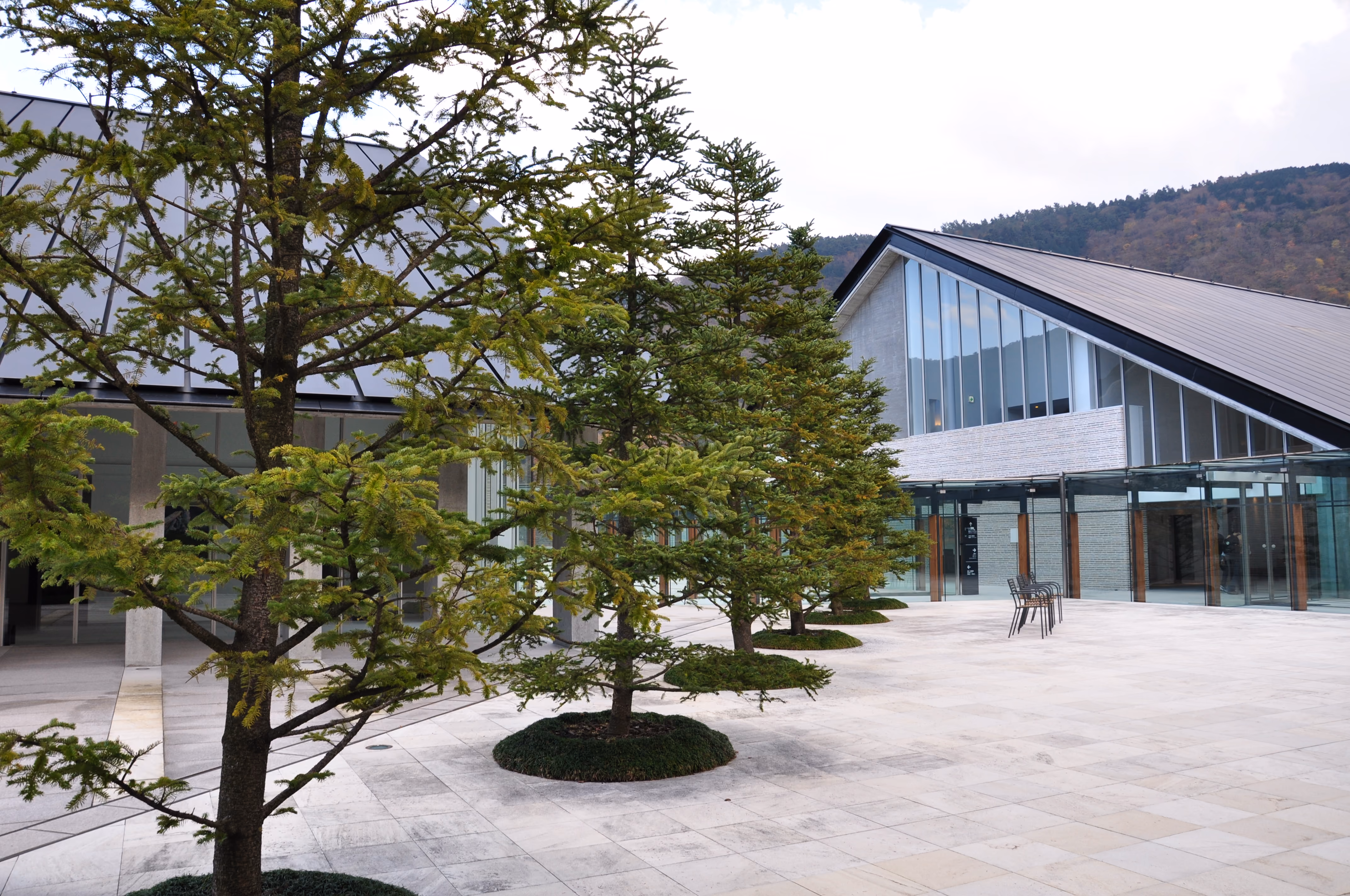 Courtyard of a modern museum building with rows of conifer trees, in the Hakone hills