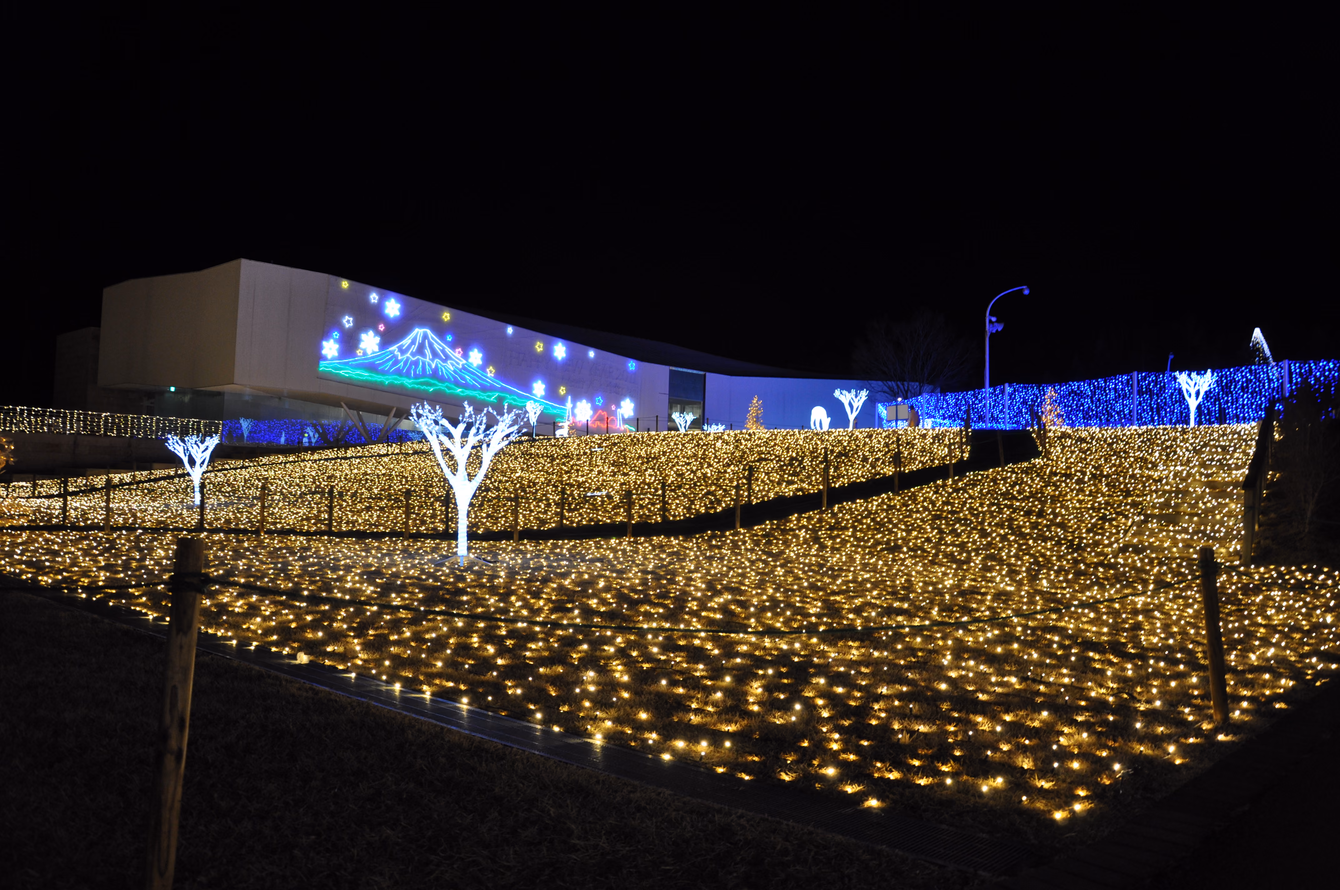 A hillside covered in warm string lights at night, with an illuminated Mount Fuji mural on a building in the background