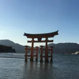 The floating torii gate at Itsukushima Shrine, Japan — my avatar image